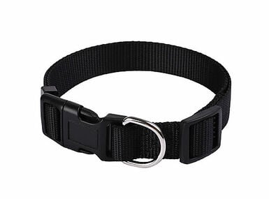 Animalis - Collier Basic pour Chien Noir