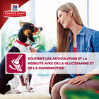 Hill's Science Plan - Croquettes Advanced Fitness Large Adult Poulet pour Chien - 18Kg image number null