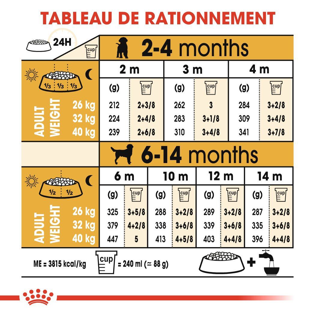 Royal Canin - Croquettes Labrador Junior pour Chiot - 12Kg Image num&eacute;ro 7