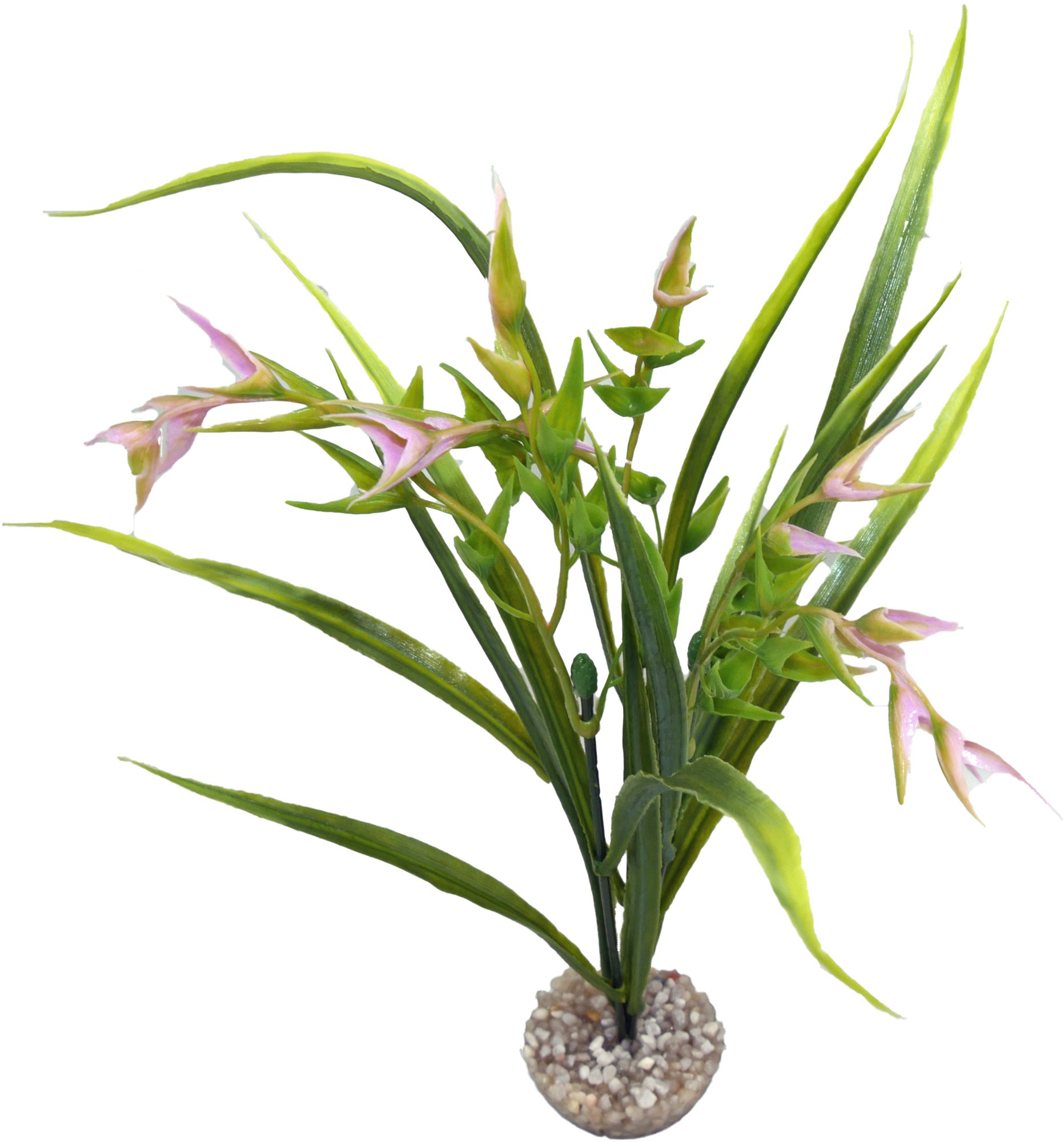Labeo - Plante D&eacute;corative Tillandsia PM pour Aquarium - Vert/Rose Image num&eacute;ro 1