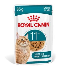 Royal Canin - Pâtée en Gelée Ageing 11+ pour Chats Senior - 12x85g