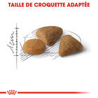 Royal Canin - Croquettes Savour Exigent pour Chats Difficiles - 10Kg image number null