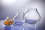 Aquarium Verre Casta diamètre 18cm Indicateur image numéro 2