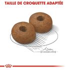 Royal Canin - Croquettes Maxi Ageing 8+ pour Chien Senior - 15Kg image number null