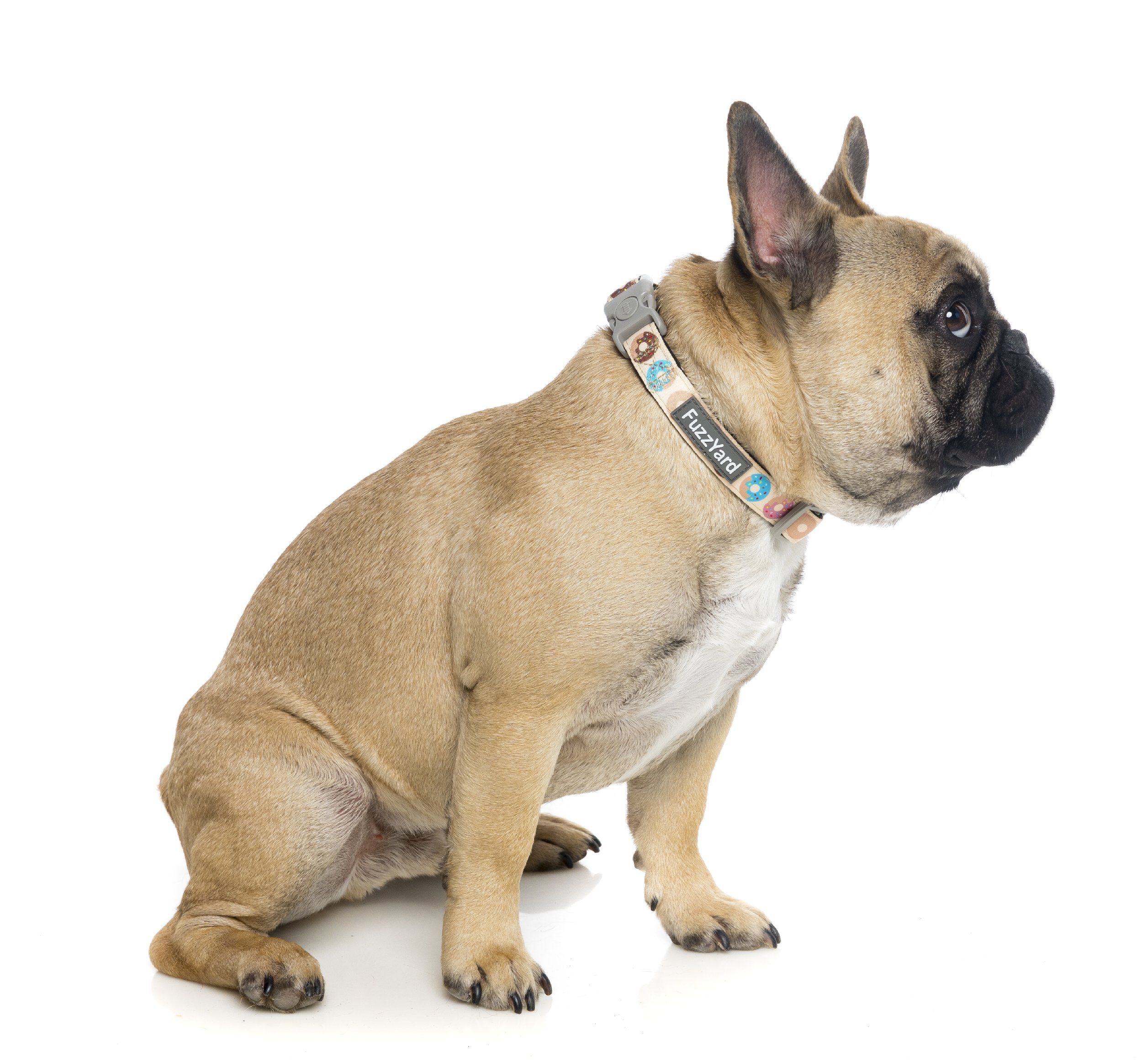 FuzzYard - Collier Go Nuts pour Chien - L Image num&eacute;ro 3