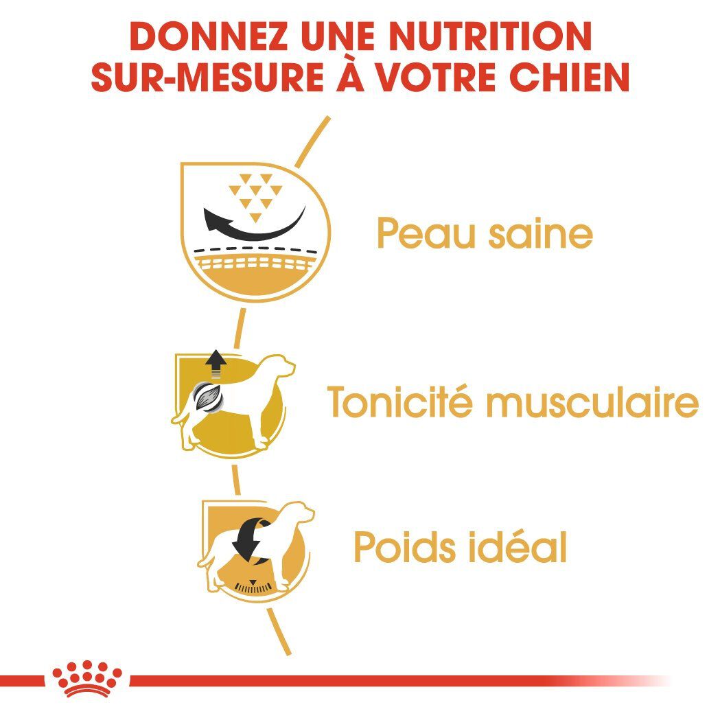 Royal Canin - Croquettes Carlin pour Chien Adulte - 1,5Kg Image num&eacute;ro 5