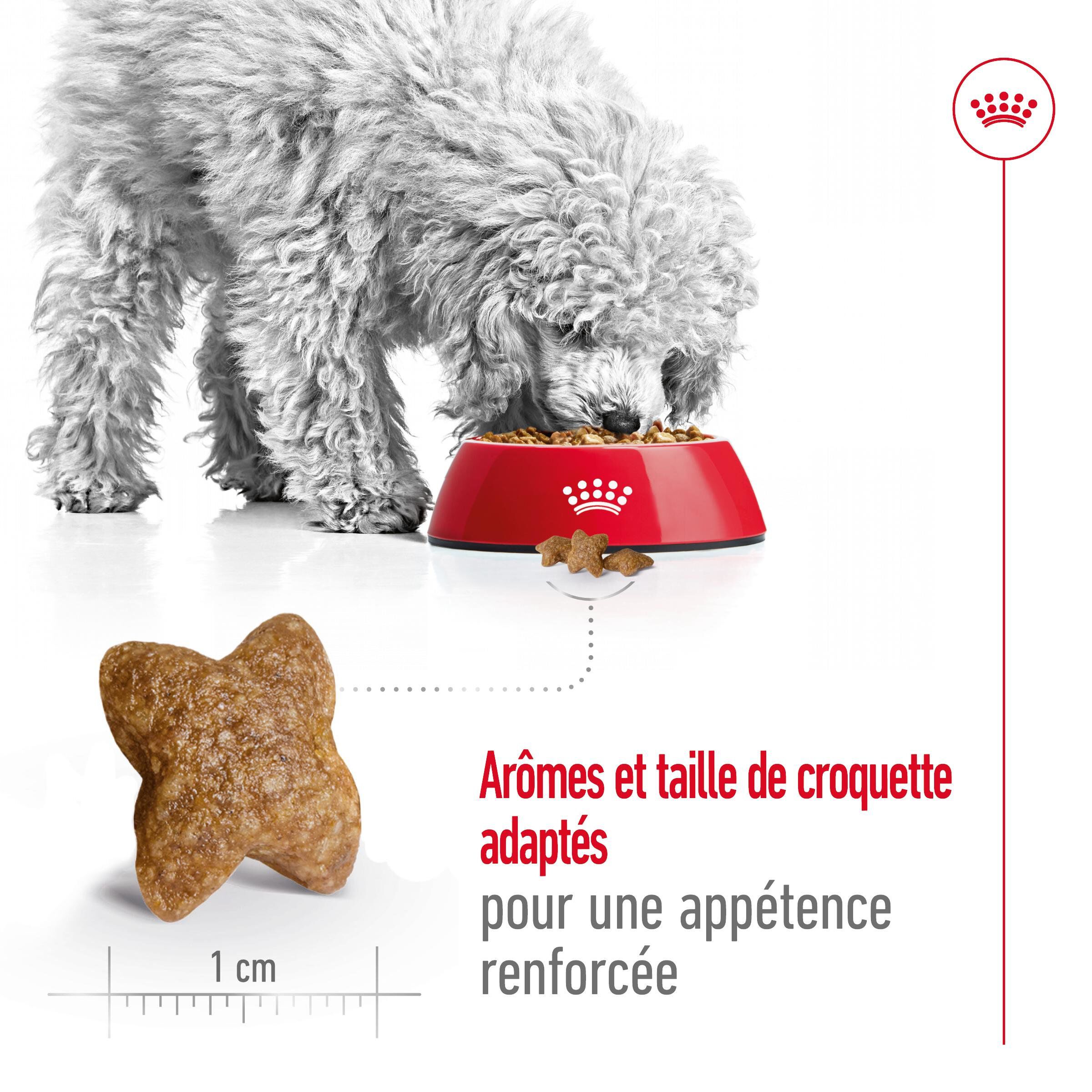 Royal Canin - Croquettes Mini Adult pour Chien de Petite Taille - 800g Image num&eacute;ro 3
