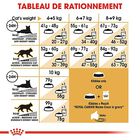Royal Canin - Croquettes Maine Coon pour Chat Adulte - 4Kg image number null
