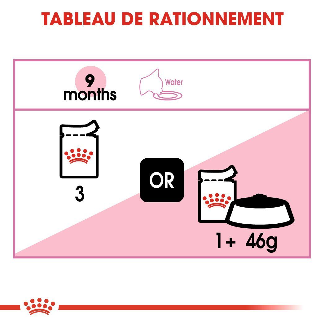 Royal Canin - Sachets Kitten Sterilised en Sauce pour Chaton - 12x85g Image num&eacute;ro 6