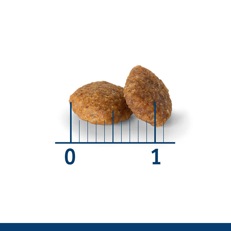 Nath - Croquettes Mini Adult Sensitive au Poisson et Saumon pour Chien - 400g Image num&eacute;ro 3