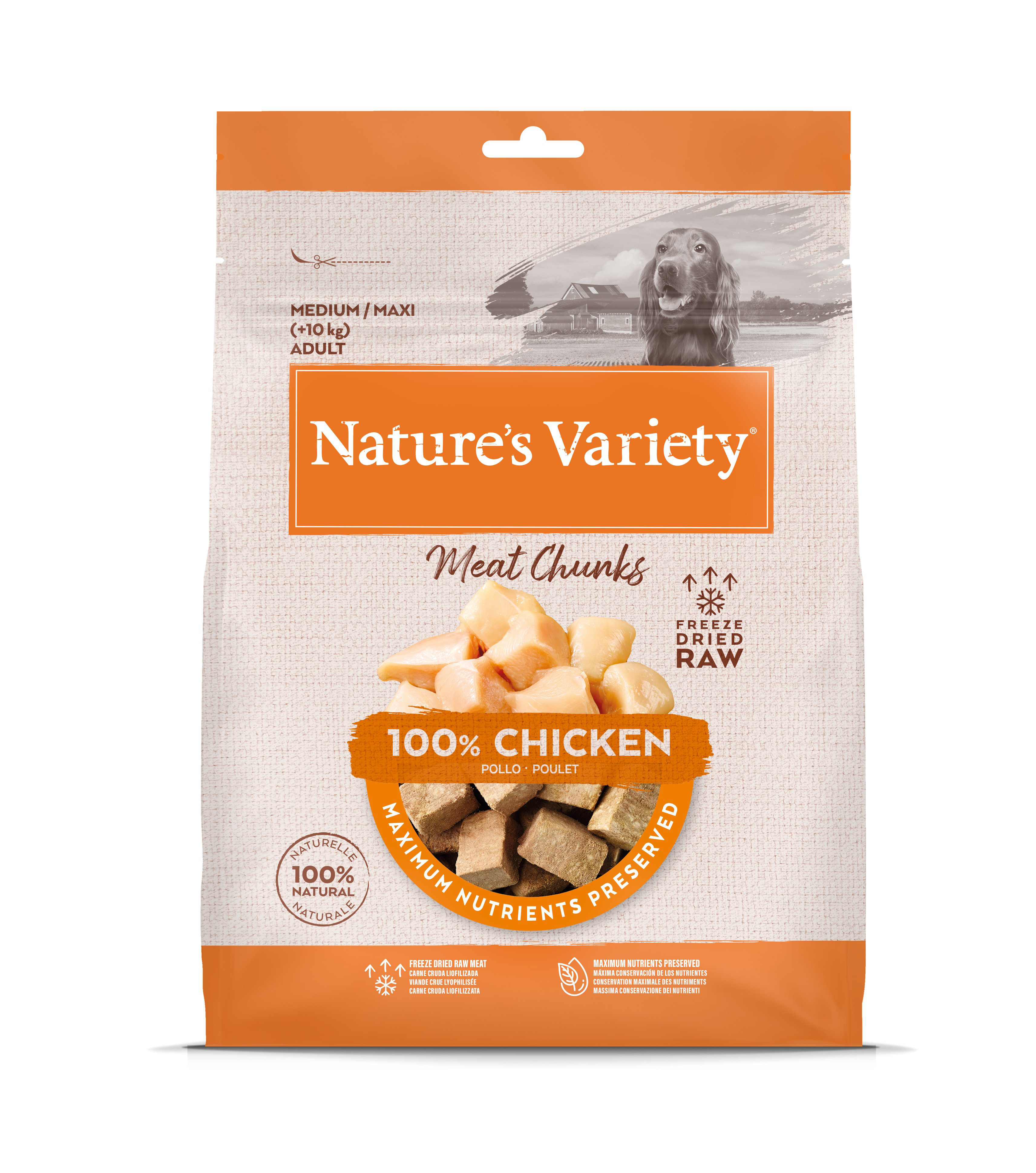 Nature's Variety - Bouch&eacute;es Cube de Viandes Freeze au Poulet pour Chiens - 50g Image num&eacute;ro 1