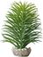 Labeo - Succulente moyen modèle Plante Artificielle Aquarium et Terrarium Indicateur image numéro 4