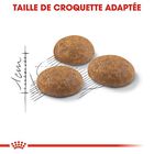 Royal Canin - Croquettes Outdoor 30 pour Chat - 400g image number null