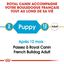 Royal Canin - Croquettes Bouledogue Français Junior pour Chiot - 10Kg Indicateur image numéro 2