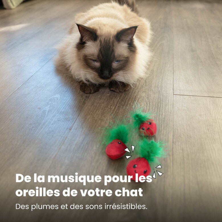 Outward Hound - Lot de 3 Jouets Straw-Babies pour Chats Image num&eacute;ro 6