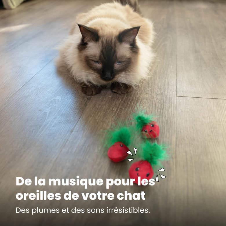 Outward Hound - Lot de 3 Jouets Straw-Babies pour Chats Image numéro 6 Outward Hound - Lot de 3 Jouets Straw-Babies pour Chats Image numéro 6