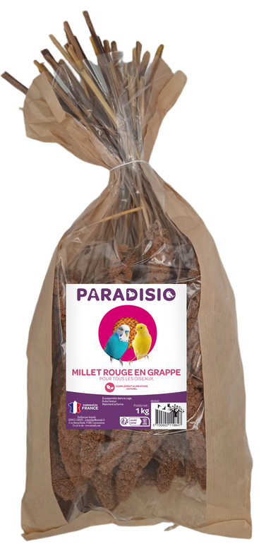 Paradisio - Millet Rouge en Grappe pour Oiseaux - 1Kg Image numéro 1 Paradisio - Millet Rouge en Grappe pour Oiseaux - 1Kg Image numéro 1