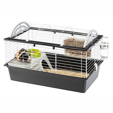 Ferplast - Cage Casita 80 pour Grands Rongeurs - 78cm