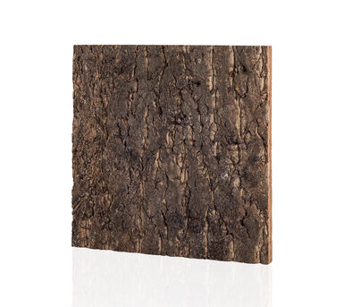 Reptizoo - Arrière Plan Liège Naturel - 45x45cm