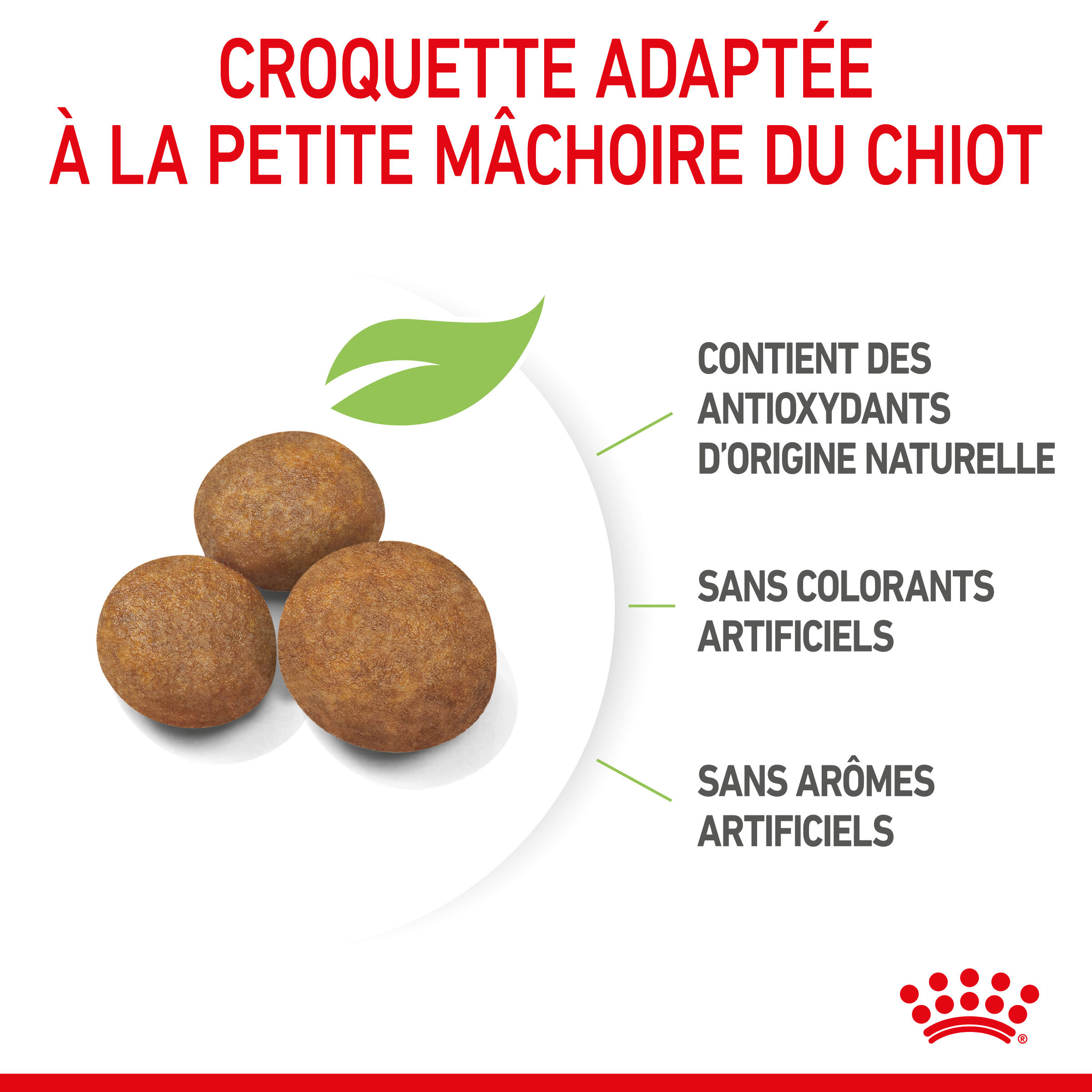 Royal Canin - Croquettes Maxi Puppy pour Chiot - 3Kg Image num&eacute;ro 4