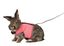 Trixie - Harnais Doux avec Laisse pour Lapin - 32cm Indicateur image numéro 5
