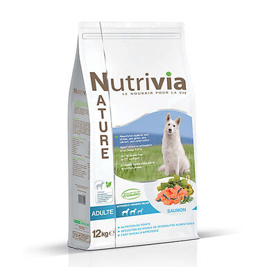 Nutrivia Nature - Croquettes Saumon pour Chien de Moyenne et Grande Taille