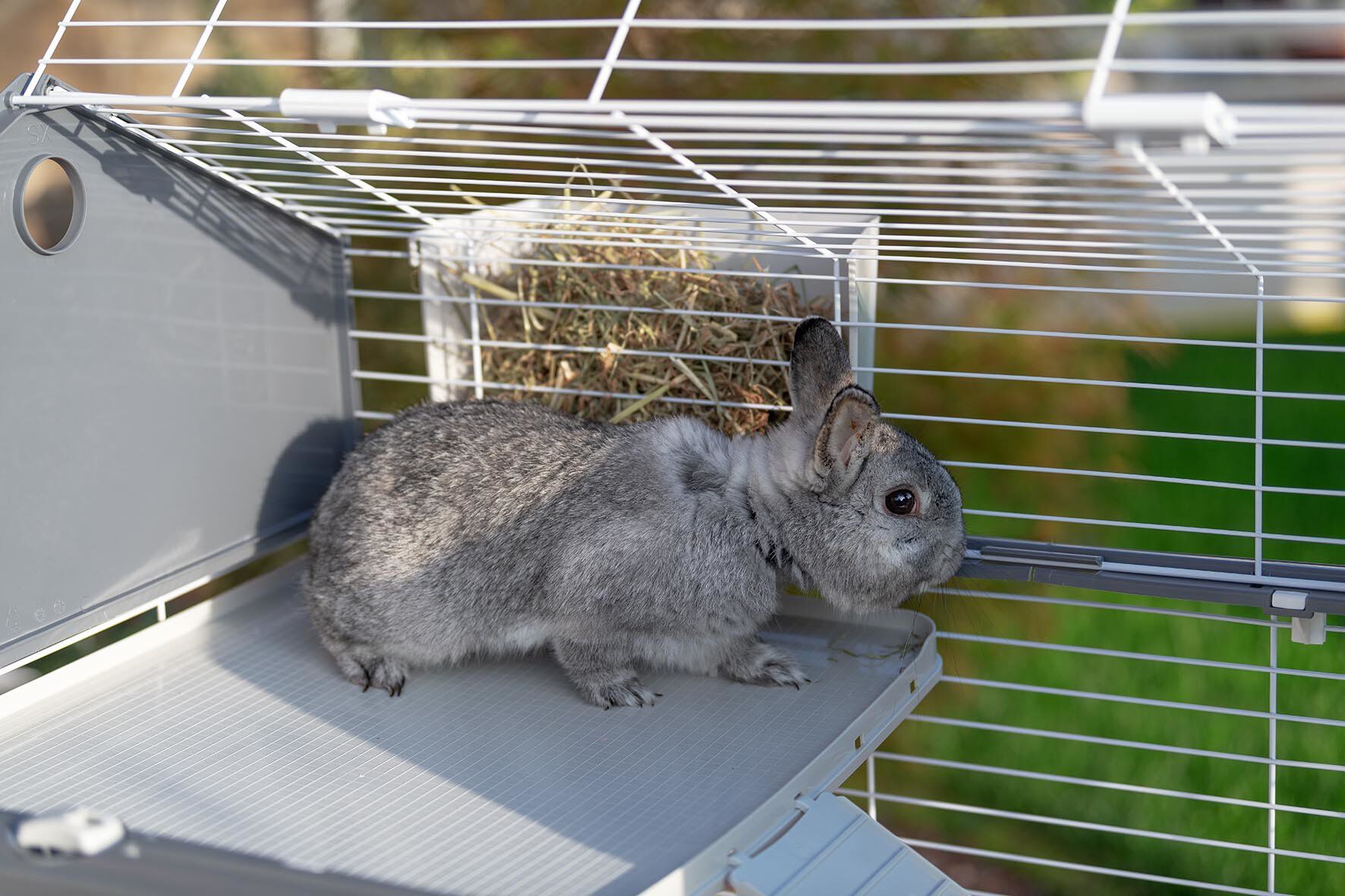 Ferplast - Cage Barn Double 100 pour Lapins - Blanc Image num&eacute;ro 4