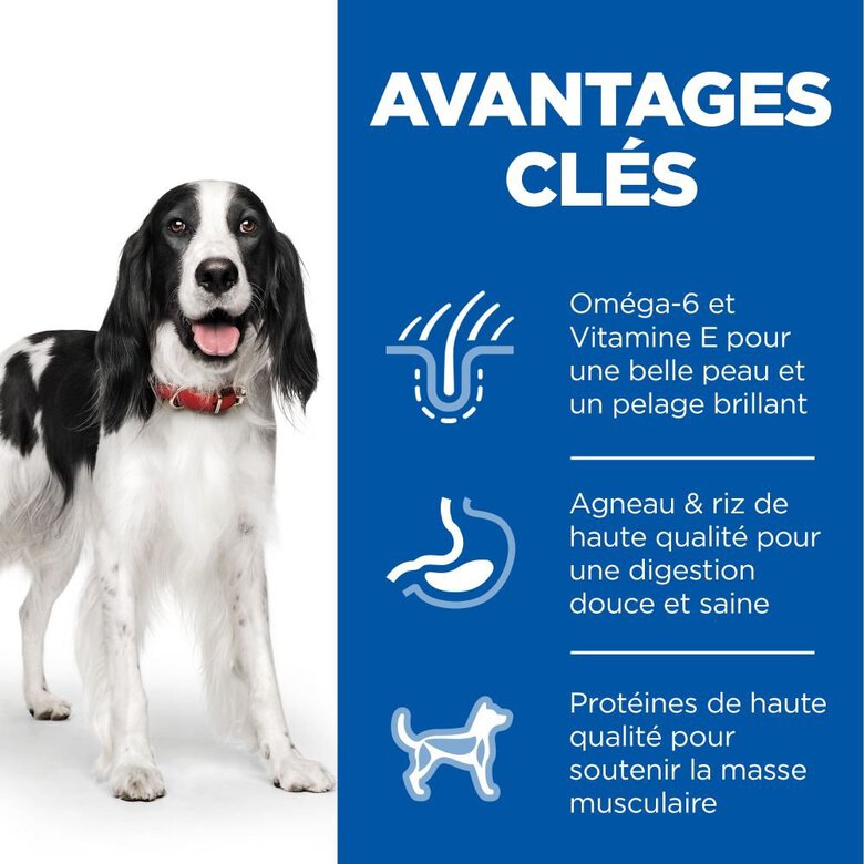 Hill's Science Plan - Adult Croquettes Pour Chien A L'agneau Et Riz  - 12kg Image numéro 3 Hill's Science Plan - Adult Croquettes Pour Chien A L'agneau Et Riz  - 12kg Image numéro 3