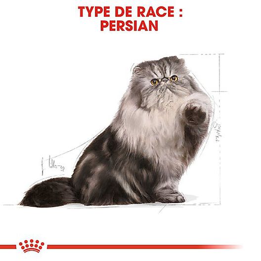Royal Canin - Croquettes Persian pour Chat Adulte - 2Kg image number null