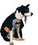 Rubies - Déguisement WARNER Batman pour Chien - M Indicateur image numéro 1