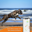 Weenect - Traceur GPS L/XL Edition 2023 pour Chiens - Noir Indicateur image numéro 4