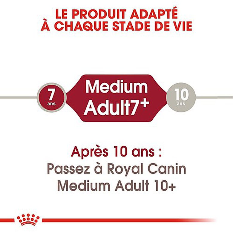 Royal Canin - Croquettes Medium Adulte 7+ pour Chien - 4Kg image number null