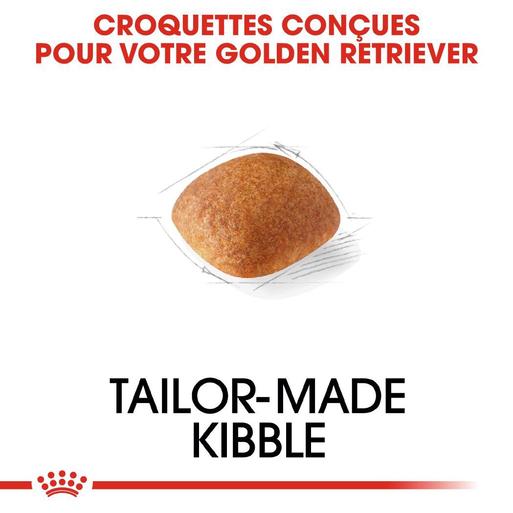 Royal Canin - Croquettes Golden Retriever pour Chien Adulte - 12Kg Image num&eacute;ro 4