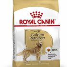 Royal Canin - Croquettes Golden Retriever pour Chien Adulte - 12Kg image number null