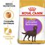 Royal Canin - Croquettes Labrador pour Chien Stérilisé - 12Kg Indicateur image numéro 1