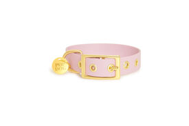 Pop Dog - Collier à ¼illet Précieux Violet pour Chien