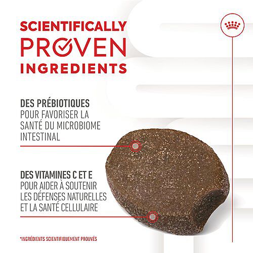 Royal Canin - Aliment Compl&eacute;mentaire Immunity & Digestion pour Chiots - 100g Image num&eacute;ro 7