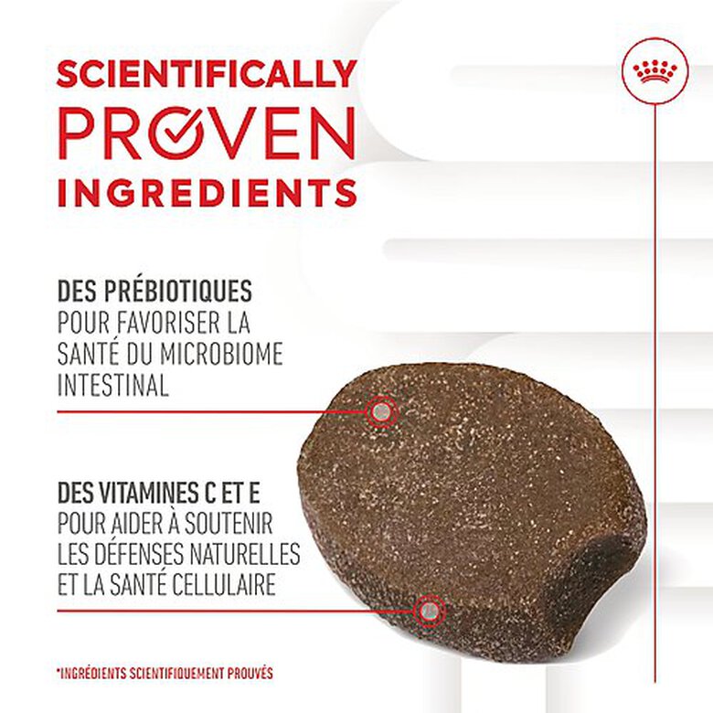 Royal Canin - Aliment Complémentaire Immunity & Digestion pour Chiots - 100g Image numéro 7 Royal Canin - Aliment Complémentaire Immunity & Digestion pour Chiots - 100g Image numéro 7