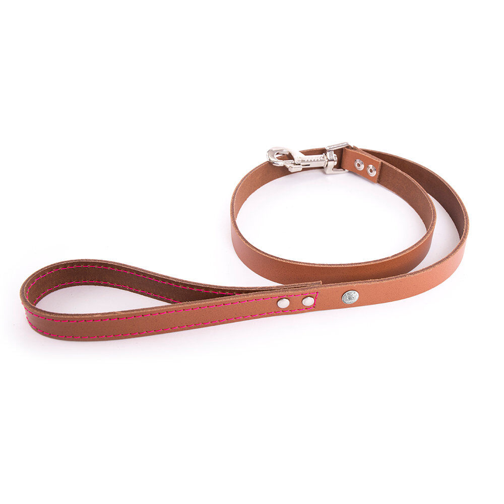 Martin Sellier - Laisse Flash T100 pour Chiens - Cognac/Rose Image num&eacute;ro 1