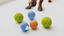 Cheerble - Balle Pelote Interactive Cheerble SE pour Chats Indicateur image numéro 7