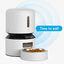 Petlibro - Mangeoire Automatique Granary Blanc - 3L Indicateur image numéro 2