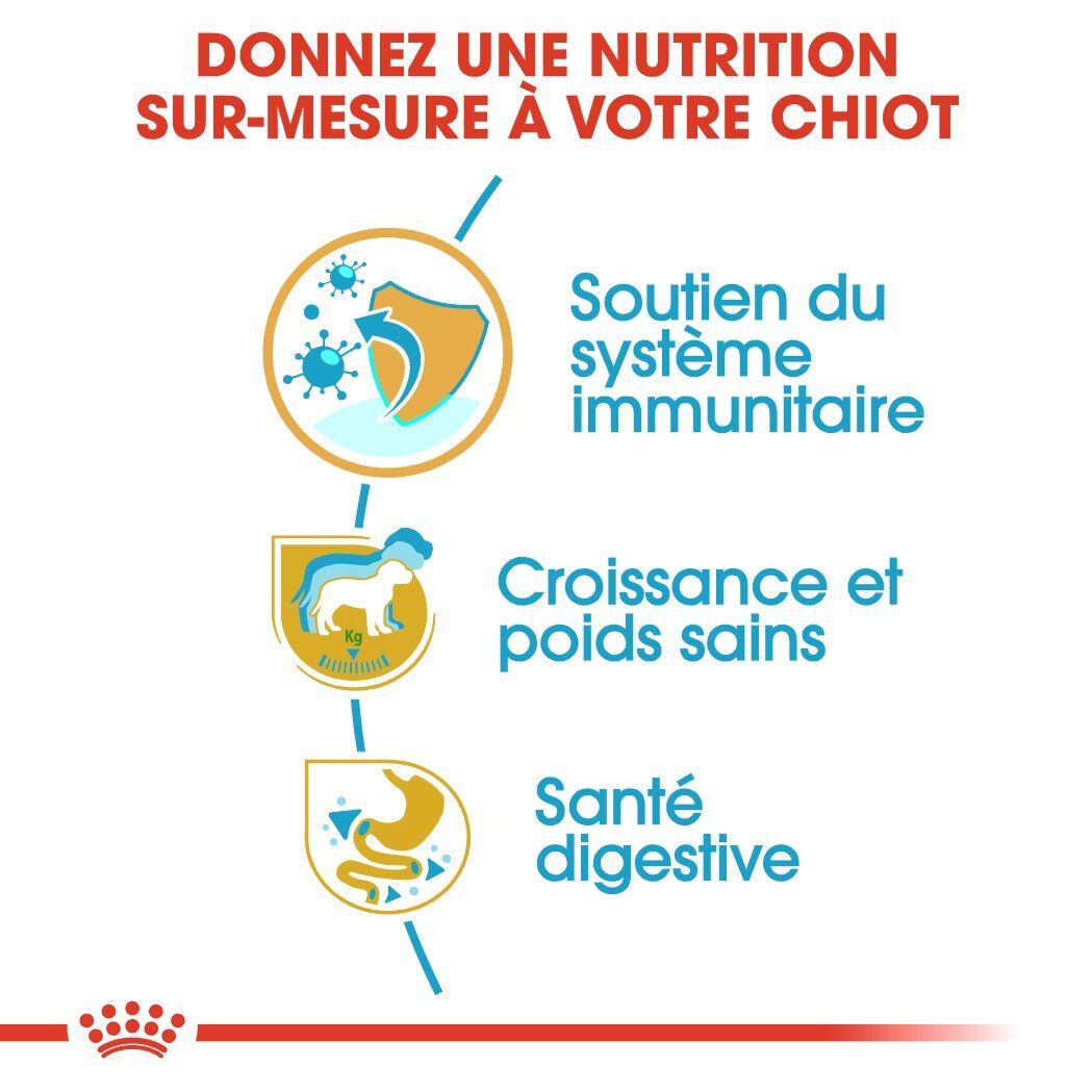 Royal Canin - Croquettes Labrador Junior pour Chiot - 12Kg Image num&eacute;ro 5