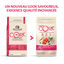 Wellness CORE - Croquettes Sterilised Saumon pour Chat - 1,75Kg Indicateur image numéro 4