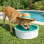 Summer Vibes - Bol Rafra&icirc;chissant pour Chiens - 22cm Indicateur image num&eacute;ro 5