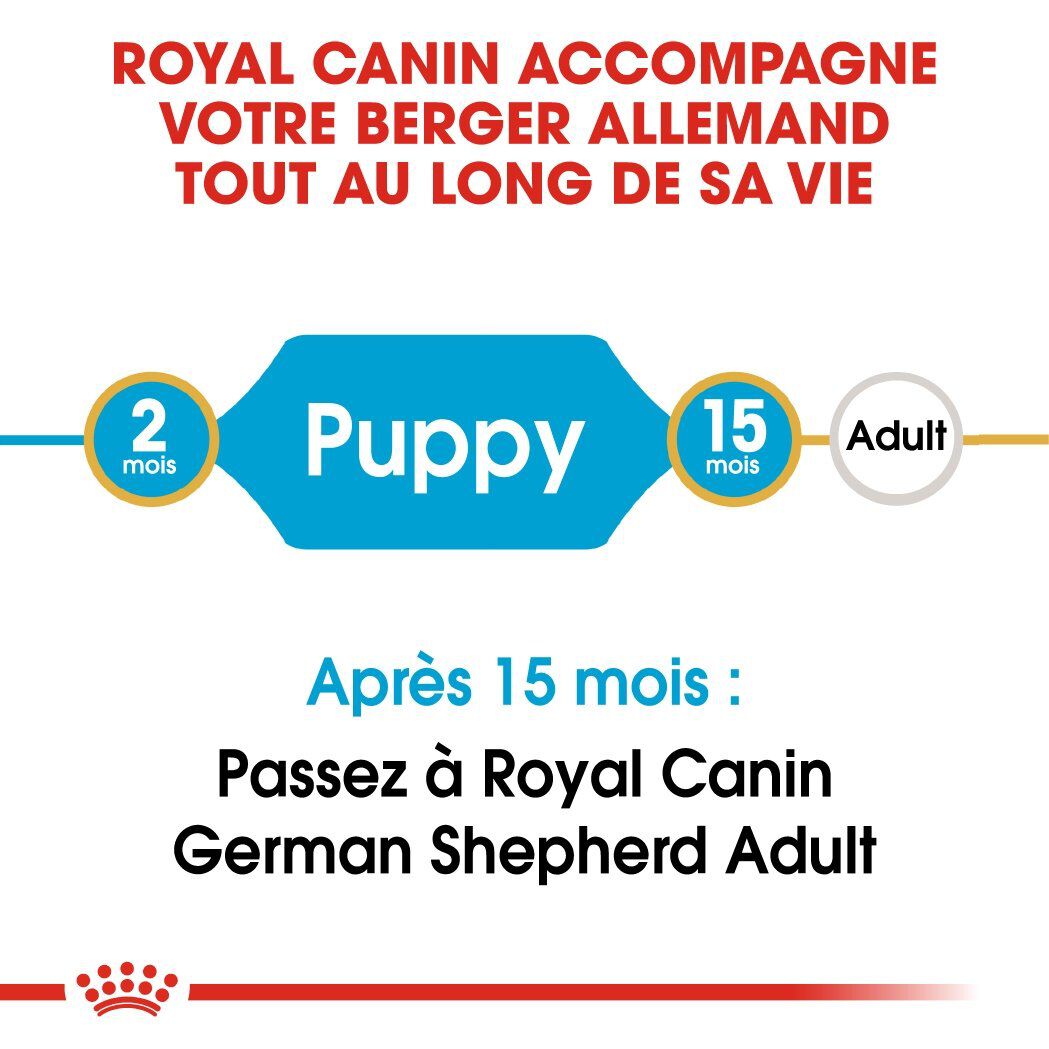 Royal Canin - Croquettes Berger Allemand Junior pour Chiot - 12Kg Image num&eacute;ro 3