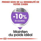 Royal Canin - Croquettes Medium Sterilised pour Chien Stérilisé - 3Kg image number null