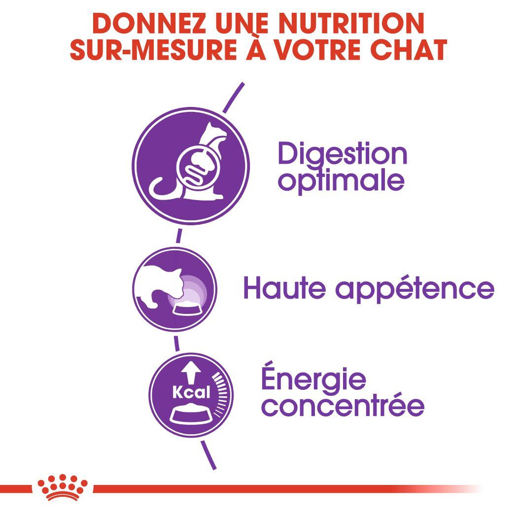 Royal Canin - Croquettes Sensible 33 pour Chat Adulte - 4Kg Image num&eacute;ro 3