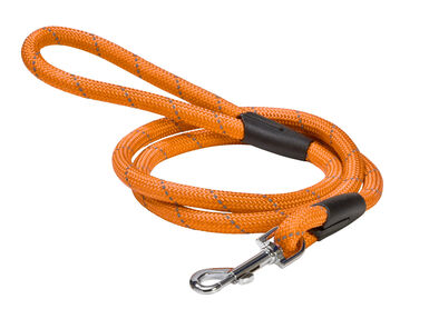 Bobby - Laisse Walk Orange pour Chiens