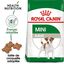 Royal Canin - Croquettes Mini Adult pour Chien de Petite Taille - 2Kg Indicateur image numéro 1