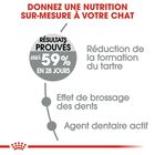 Royal Canin - Croquettes Oral Sensitive pour Chat - 400g image number null